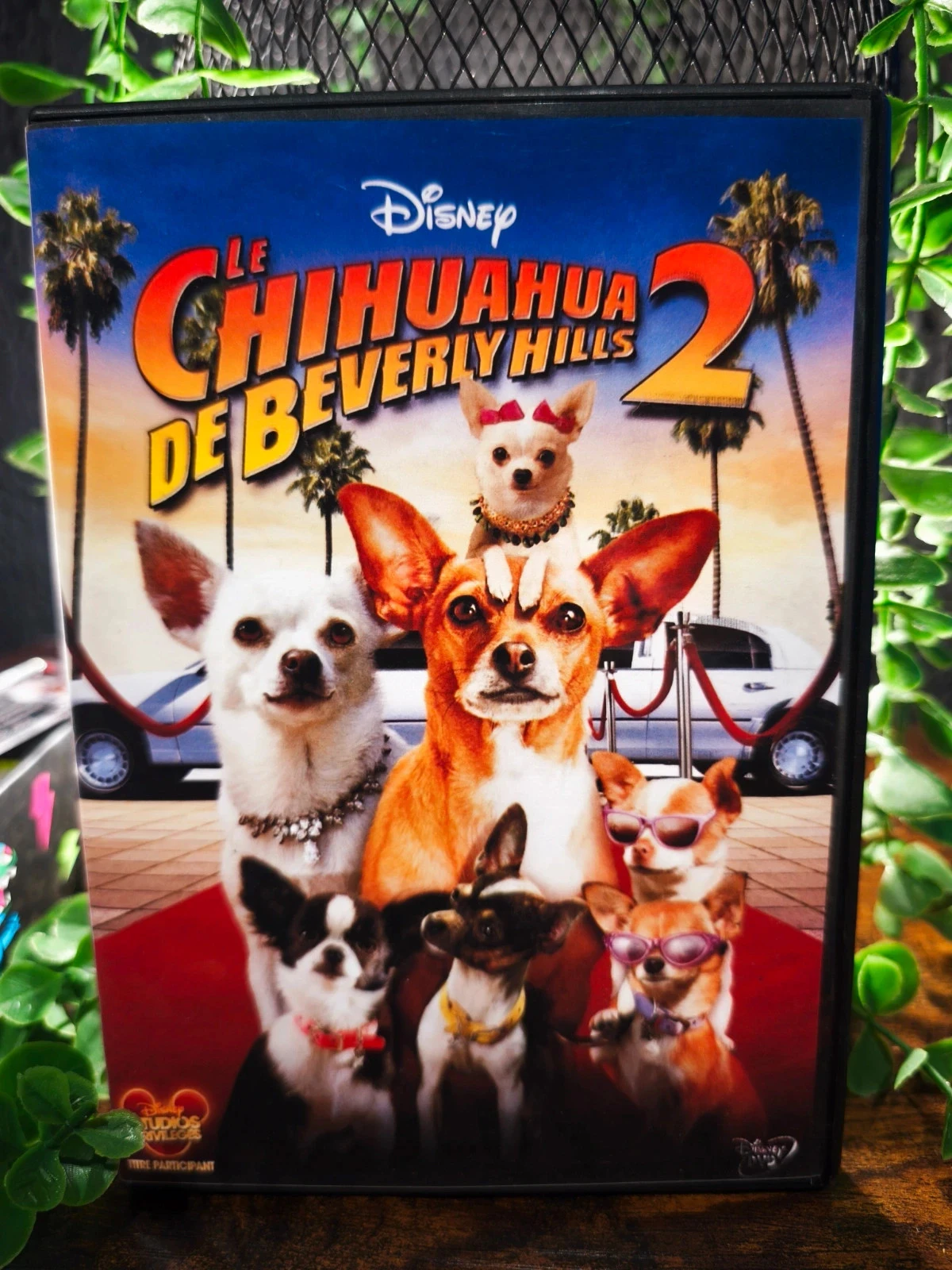 Le Chihuahua de Beverly hills 2